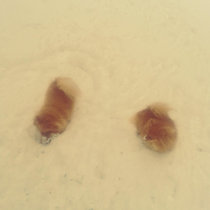 Battles In The Snow II cover art