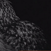 Indifferent Bystander cover art