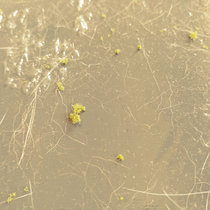 Skip The Hills Altogether cover art