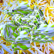 Spring Sprouts Compilation (2012) cover art