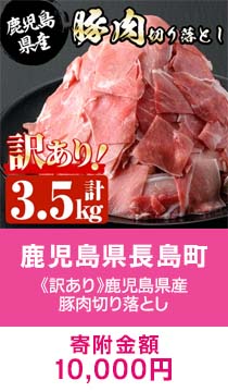 《訳あり》鹿児島県産　豚肉切り落とし