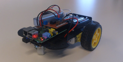 Assembled robot