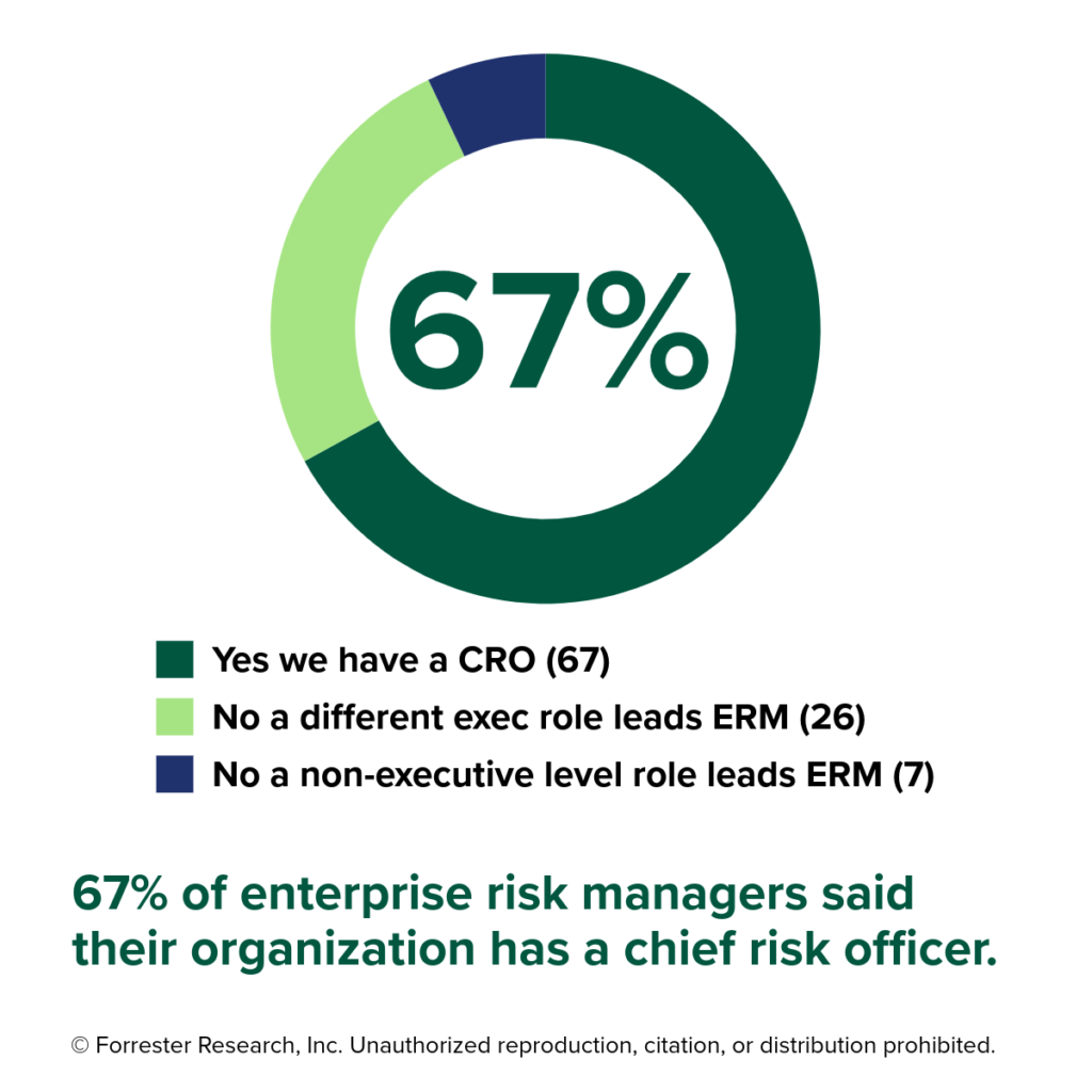 What percentage of organizations have a chief risk officer?