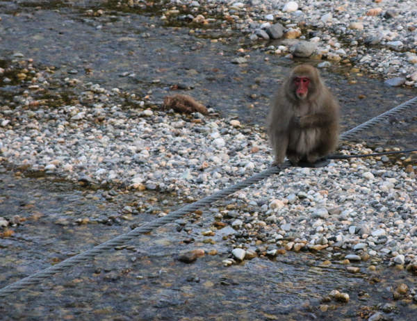 上高地の写真 上高地の写真