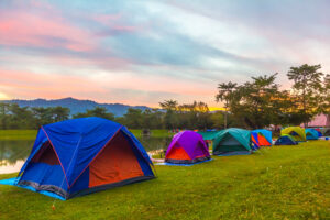 <終了>【3,000円以下】夏キャンプで持っててよかった!”楽天の便利ギア”10選