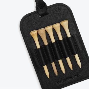 golf tee holder with five wooden tees golf tee holder with five wooden tees