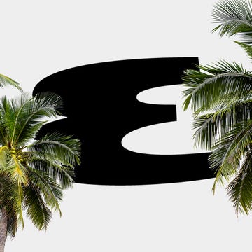 a black shark in between palm trees a black shark in between palm trees