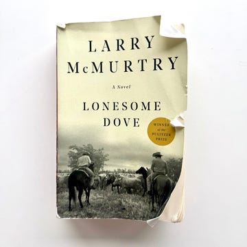 lonesome dove lonesome dove