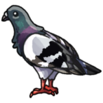 pigeon.png