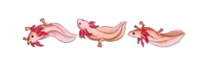 Axolotl divider