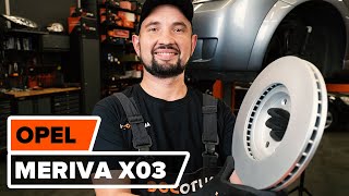 Wie Scheibenwischerarm bei einem RENAULT SANDERO / STEPWAY tauschen - Handbuch