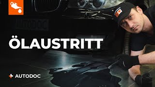 Die besten DIY-Autohacks