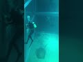 【!!!】水族館員がサメに○○○れる瞬間