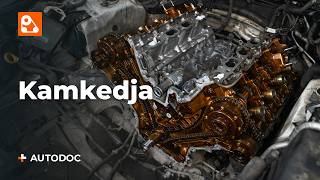 Byt Kamkedja på MAZDA - gratis videotips