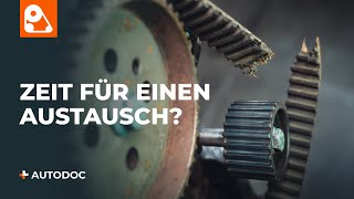 Wie Zahnriemensatz mit Wasserpumpe wechseln - Online-Video kostenlos