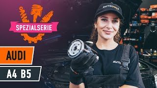 Videoanleitungen: Wie Bremszylinder wechseln BMW 1 Schrägheck (F20)