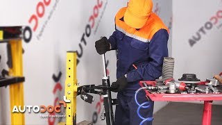 Ersetzen von Federbein beim VW TRANSPORTER: Werkstatthandbuch