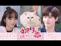 中国ドラマ「ネコの手も借りたい恋」予告編