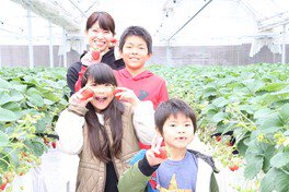 King Farm(キング ファーム) いちご狩り