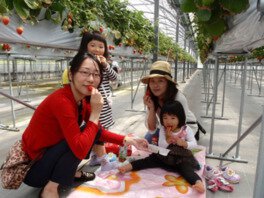 ベリーガーデンズ いちご狩り