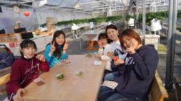 苺のおうち いちご狩り