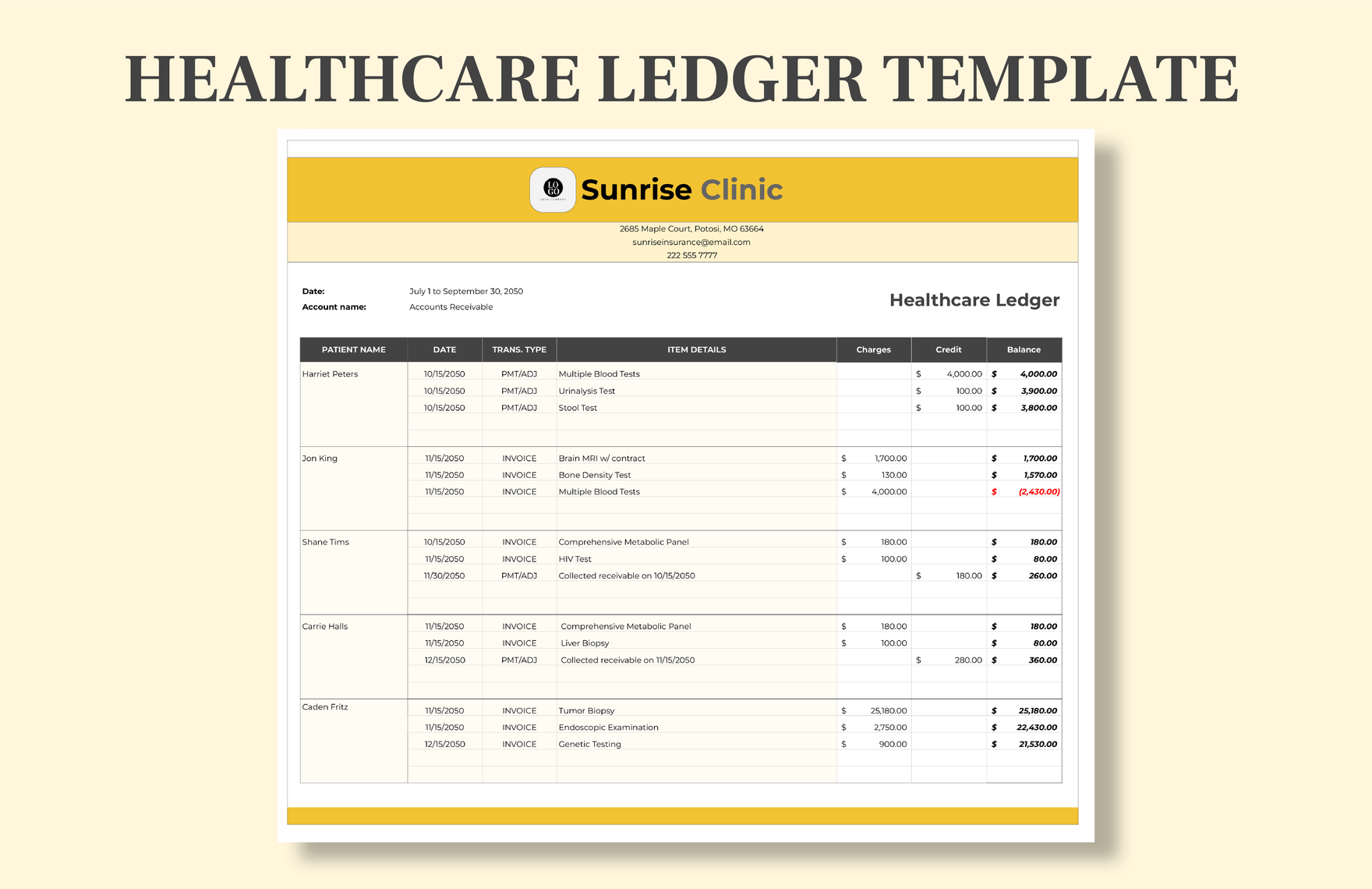 Healthcare Ledger Template Healthcare Ledger Template