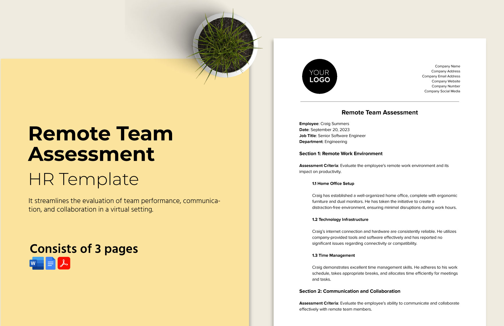 Remote Team Assessment HR Template Remote Team Assessment HR Template