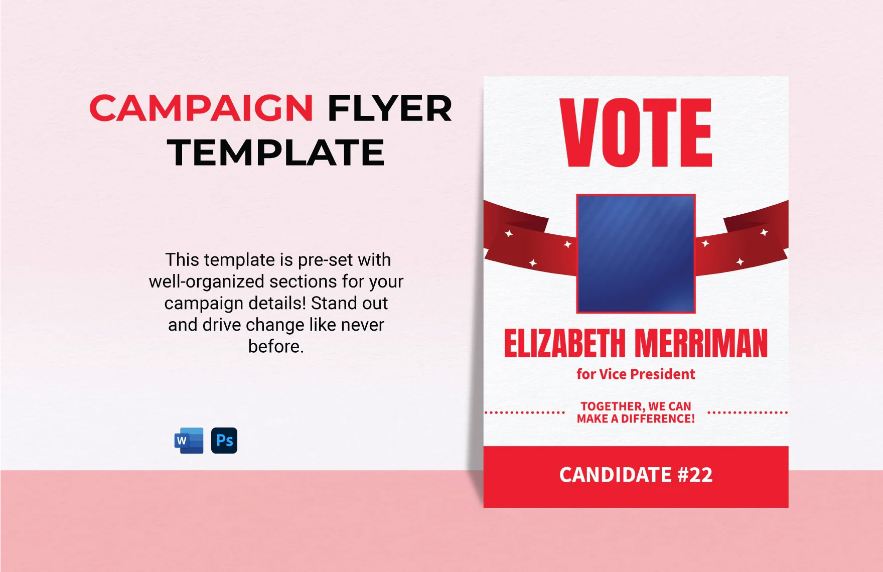 Campaign Flyer Template Campaign Flyer Template