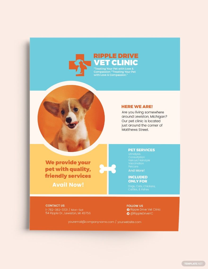 Pets Clinic Flyer Template in Pages, Publisher, PSD, Illustrator, InDesign, Word, Google Docs - Download | Template.net Pets Clinic Flyer Template in Pages, Publisher, PSD, Illustrator, InDesign, Word, Google Docs - Download | Template.net