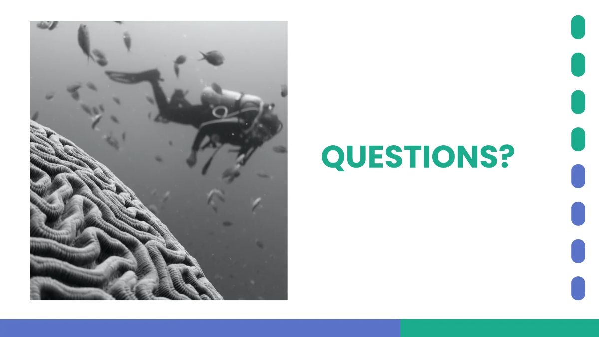 Free Case Report Presentation Template to Edit Online Free Case Report Presentation Template to Edit Online