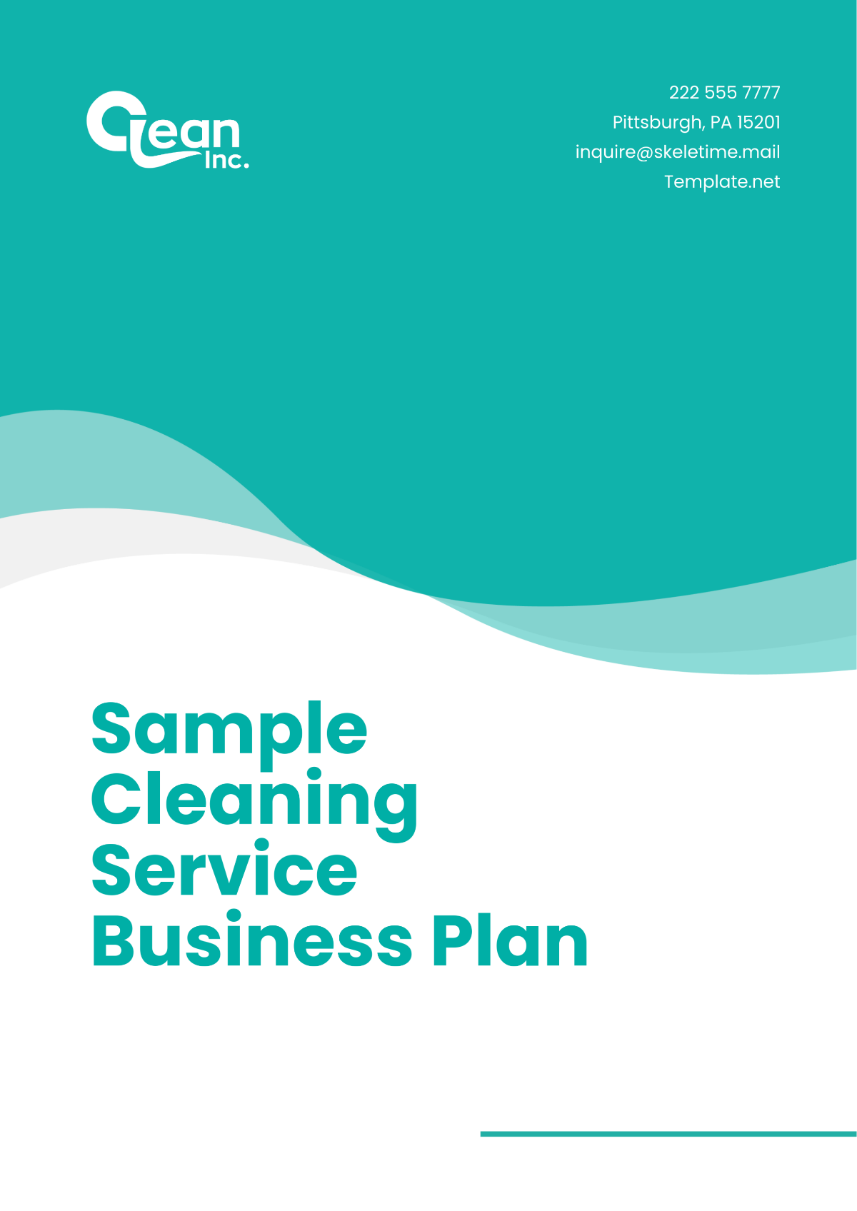 Sample Cleaning Service Business Plan Template