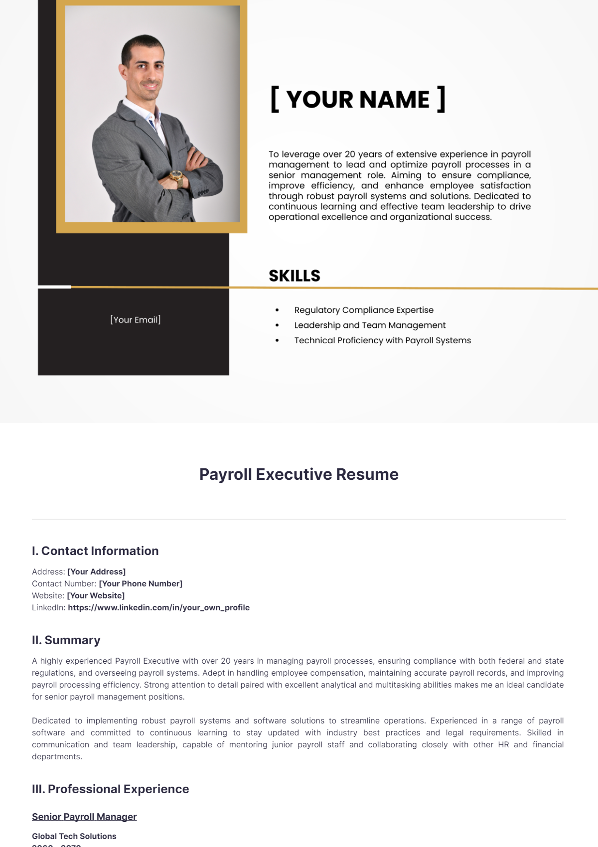 Free Payroll Executive Resume to Edit Online Free Payroll Executive Resume to Edit Online