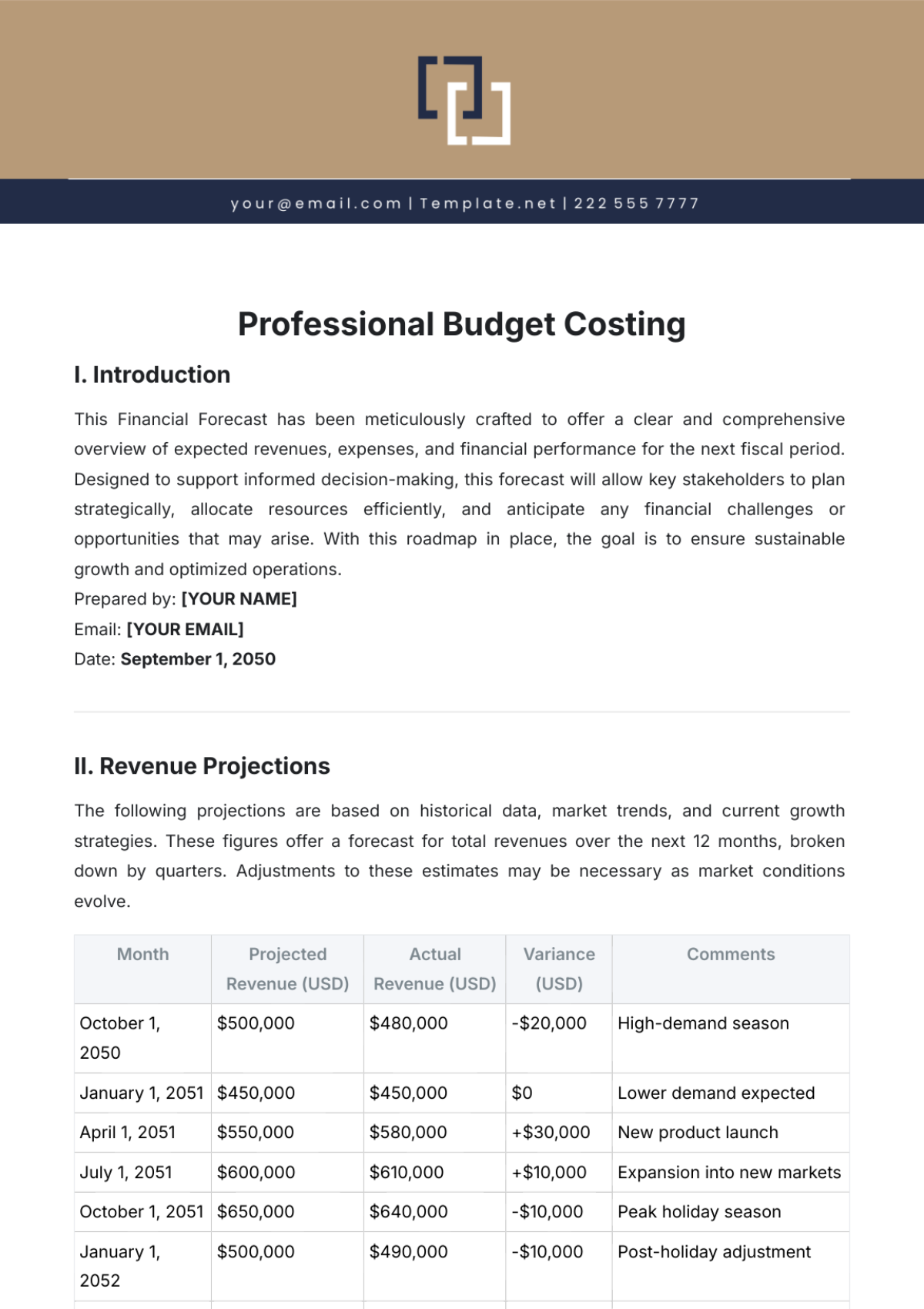 Free Professional Budget Costing Template to Edit Online Free Professional Budget Costing Template to Edit Online