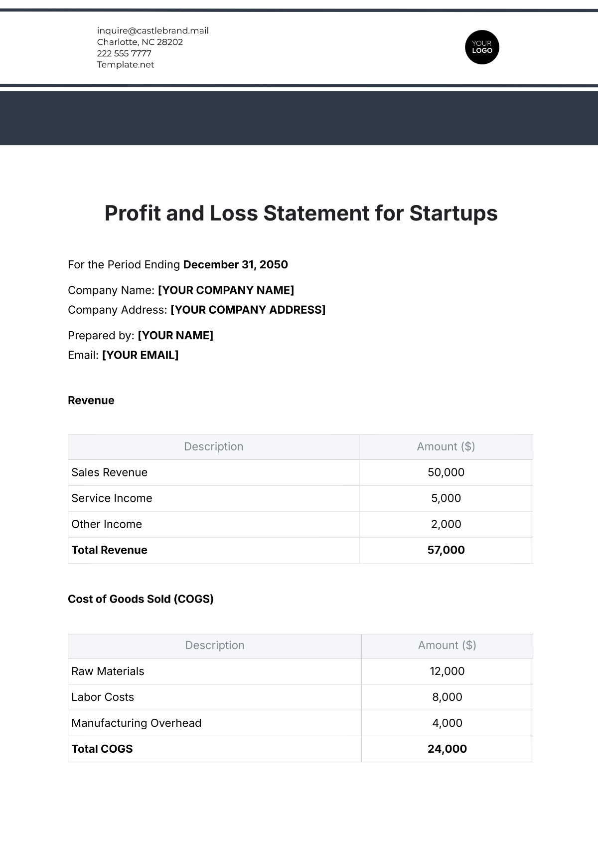 Free Profit and Loss Statement for Startups Template to Edit Online Free Profit and Loss Statement for Startups Template to Edit Online