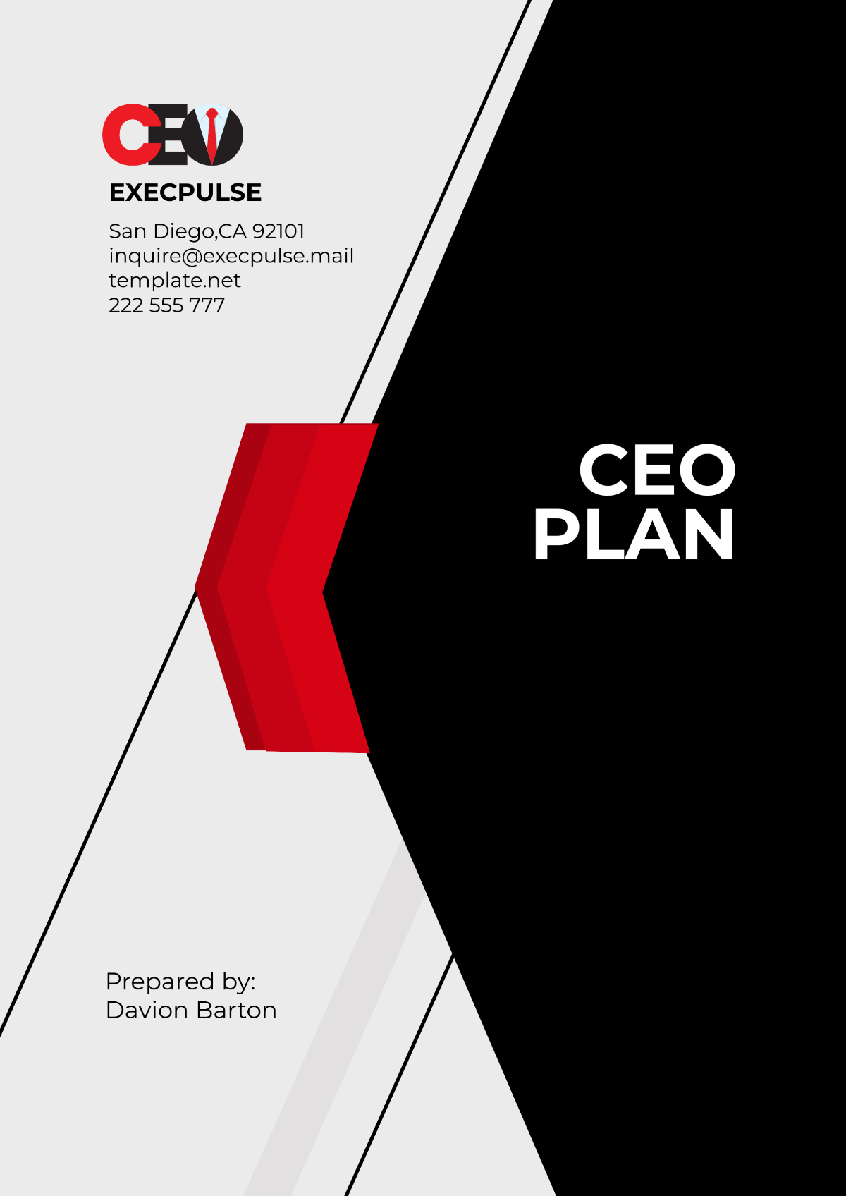 Free CEO Plan Template to Edit Online Free CEO Plan Template to Edit Online