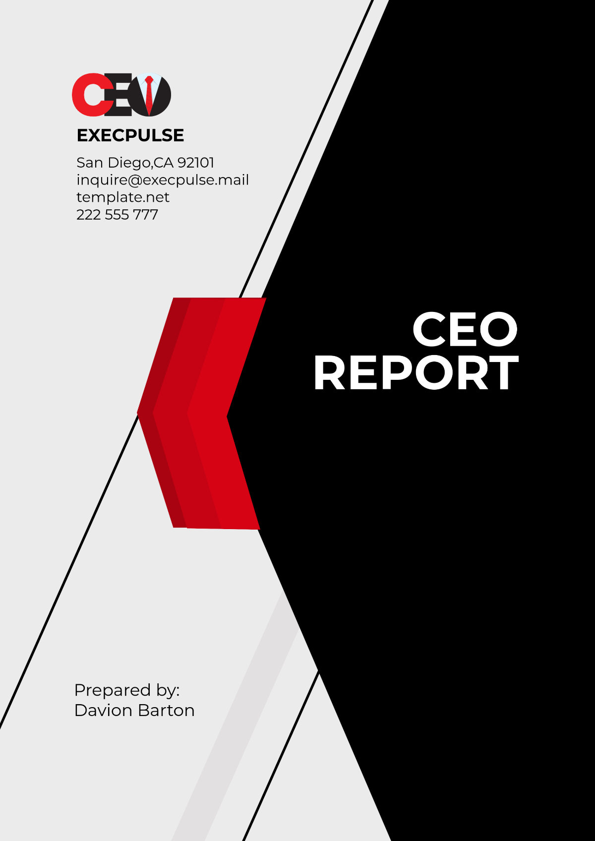 Free CEO Report Template to Edit Online Free CEO Report Template to Edit Online