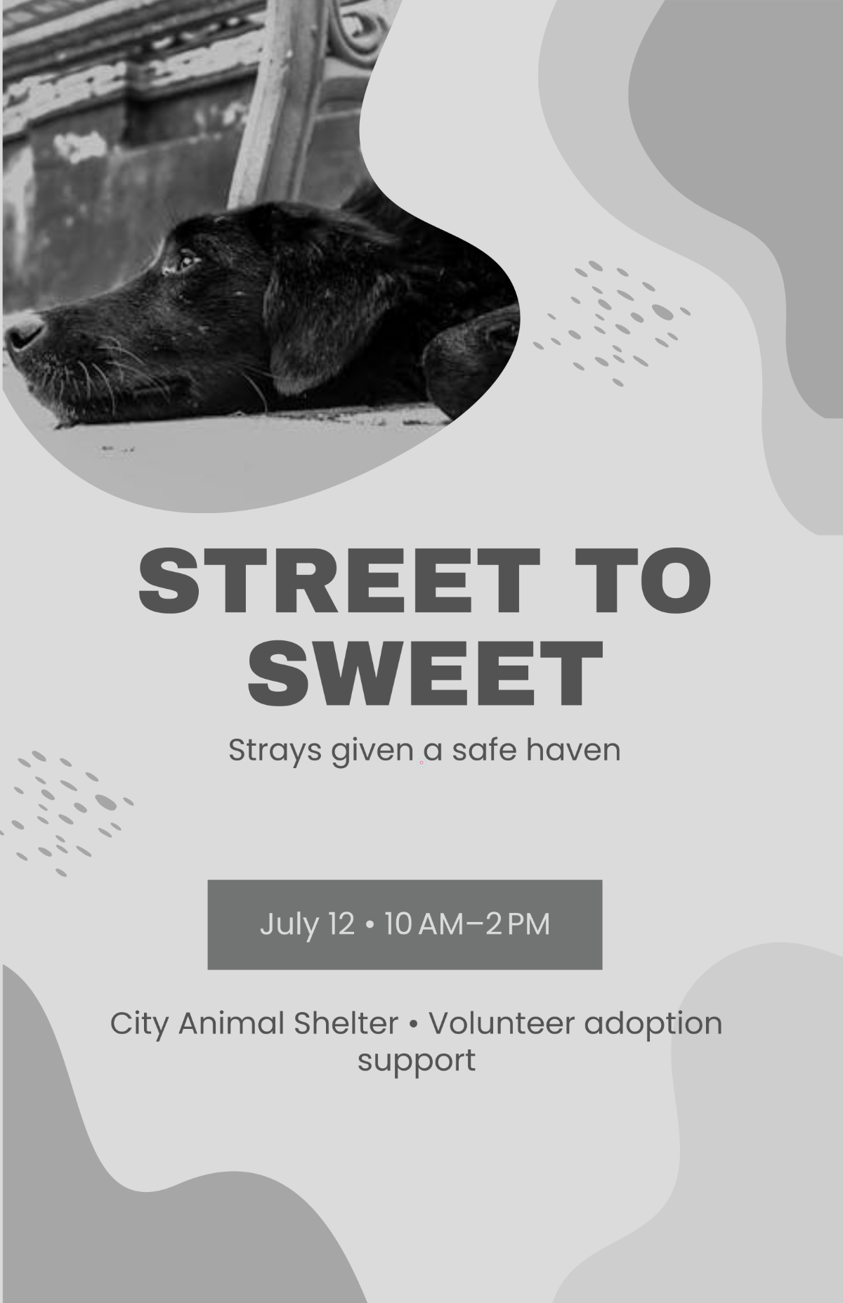 Free Stray Dog Adoption Poster Template to Edit Online Free Stray Dog Adoption Poster Template to Edit Online