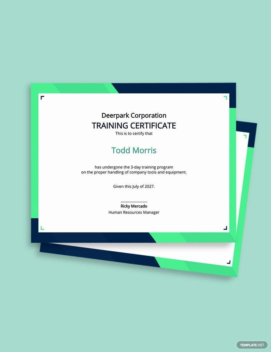 Sample Company Training Certificate Template Sample Company Training Certificate Template