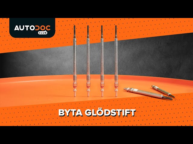 Se en videoguide om Glödstift diesel byta i SSANGYONG NOMAD