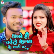 Sikhe Hi Chadhele Kela Ke Gachhi Par