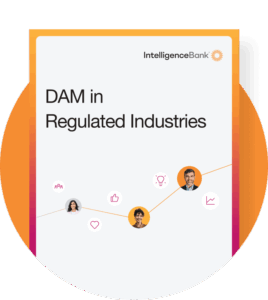 DAM for Regulated Industries Thumbnail