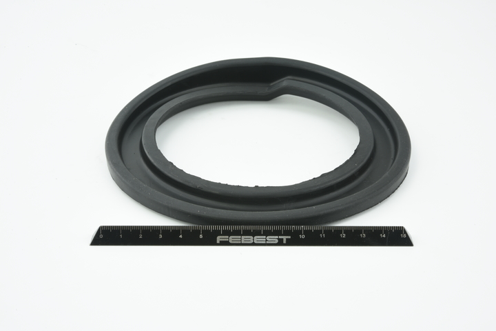 FEBEST TSI-120 Federteller TOYOTA Kosten