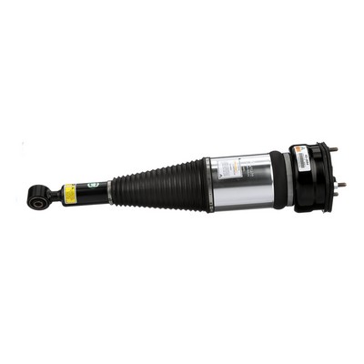AS-2894 Air suspension strut Arnott 48010-50120