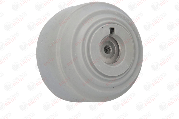 53177 Ulożenie motora BIRTH A 171 240 01 17