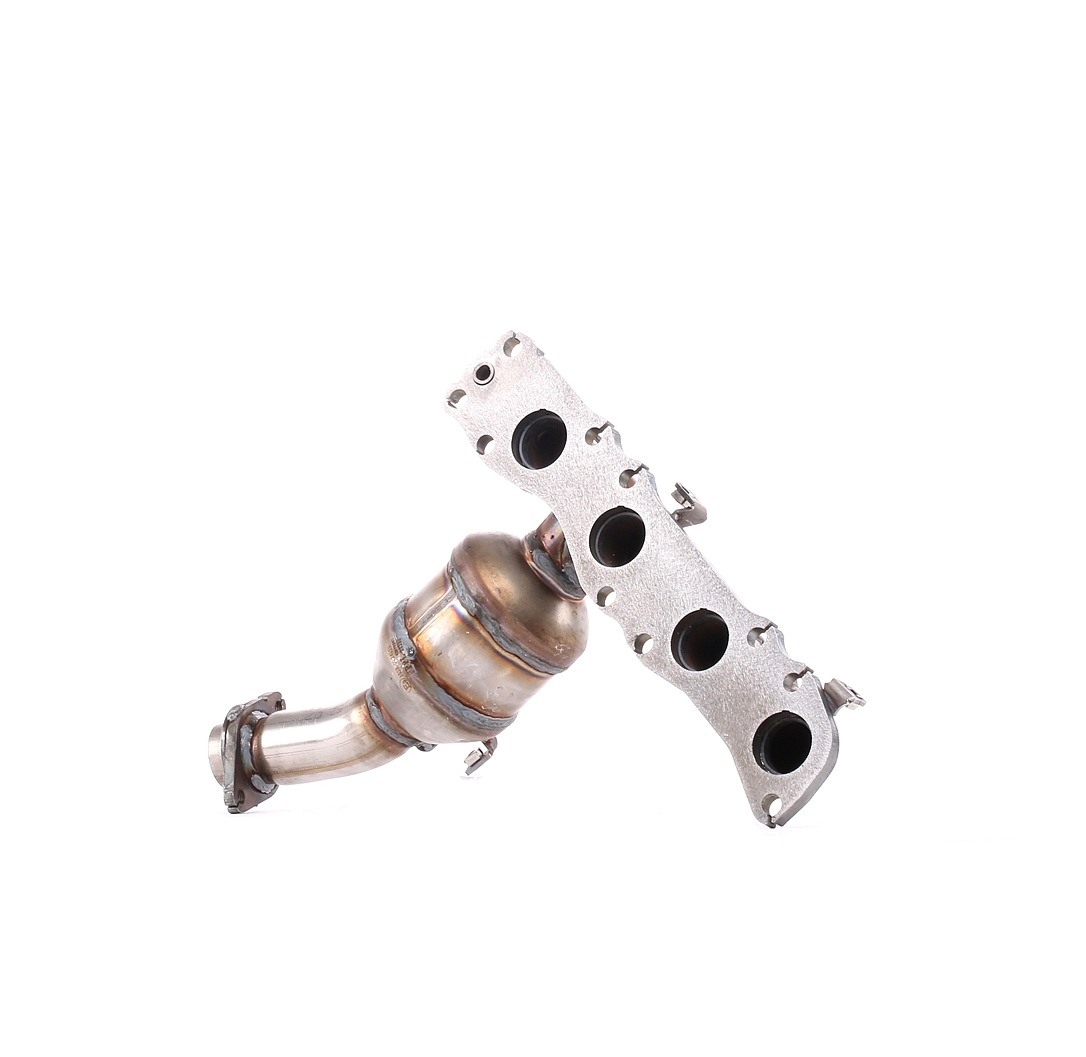 429C0219 Catalyseur RIDEX 1411076J00H02