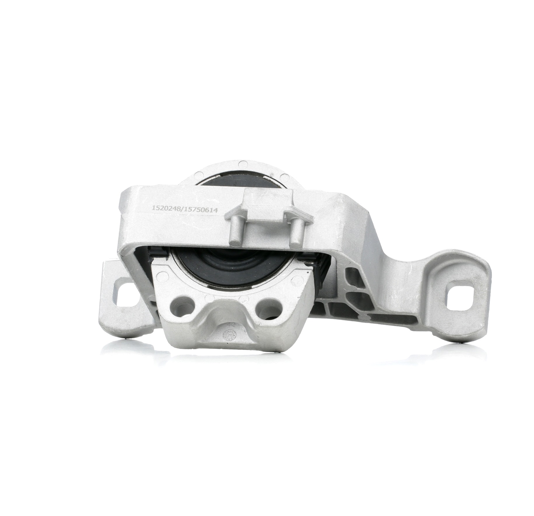 247E0448 Motorlager RIDEX BBM439060B FORD