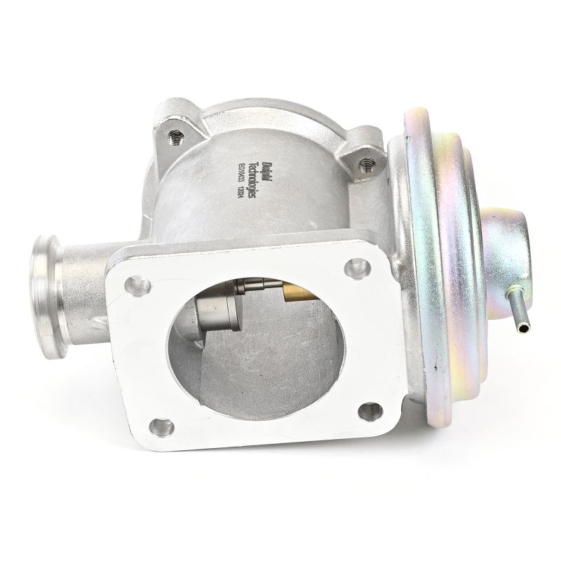 DELPHI EG10433-12B1 BMW Z1 Abgasrückführung kaufen