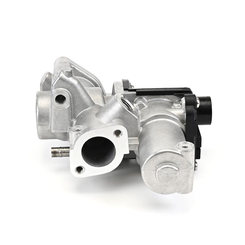 AGR Ventil AUDI A6 2006 DELPHI EG10509-12B1