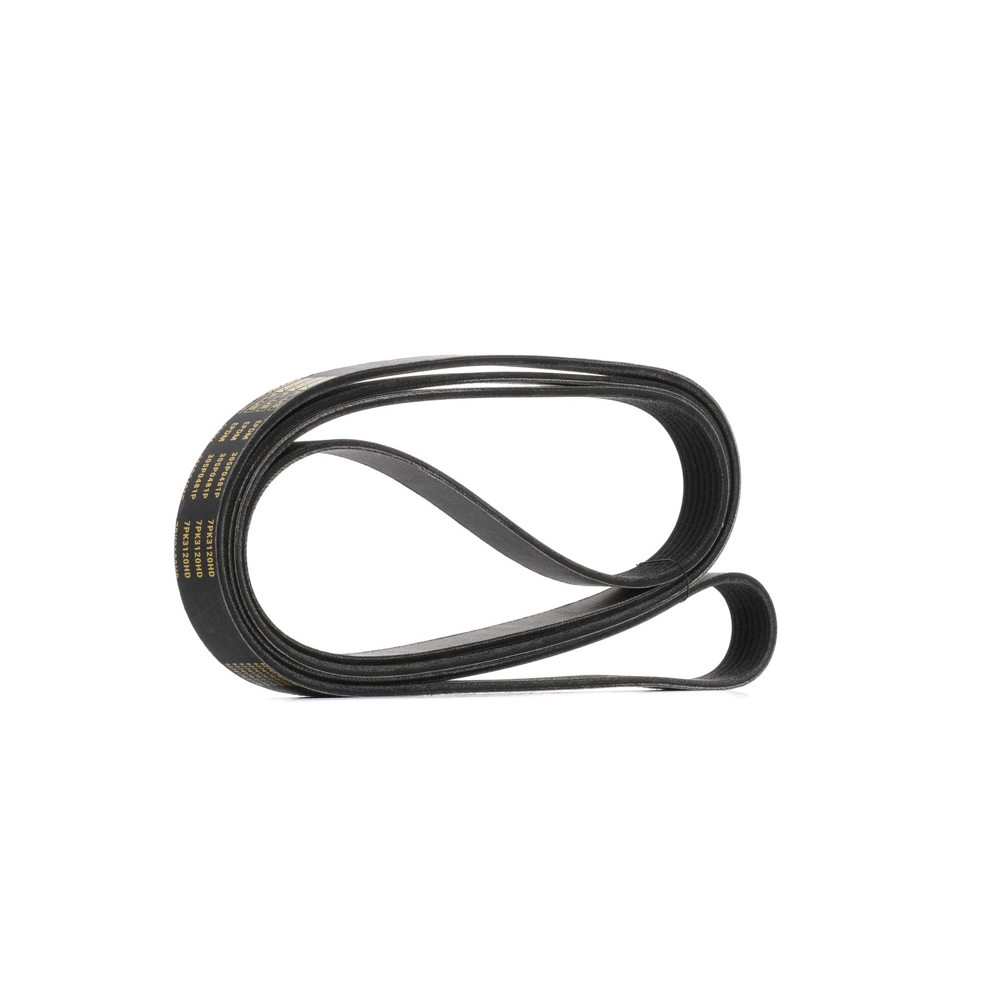 RIDEX PLUS 305P0481P 2023 Ford RANGER aandrijfriem