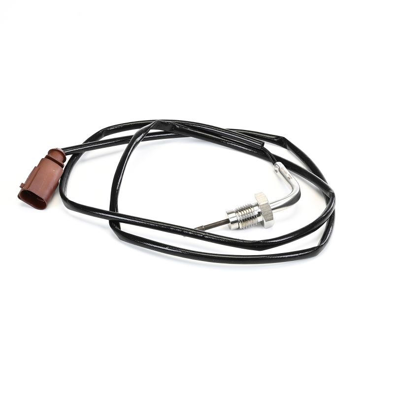 TS30319-12B1 DELPHI Temperatuursensor VW T4 Transporter